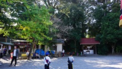 Part of the grounds around the shrine.